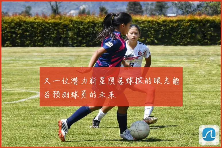 又一位潜力新星陨落球探的眼光能否预测球员的未来