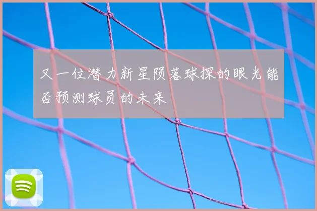 又一位潜力新星陨落球探的眼光能否预测球员的未来